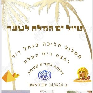 טיול נוער - כמות נרשמים